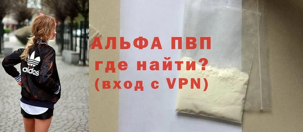 стаф Белокуриха