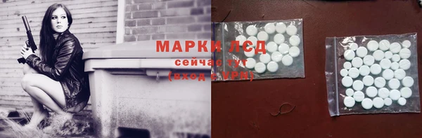 стаф Белокуриха