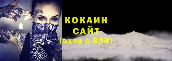 индика Белоозёрский