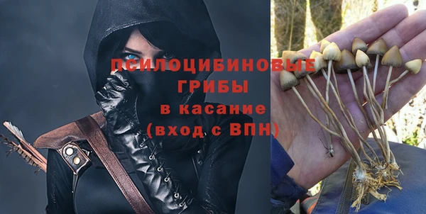 сатива Беломорск