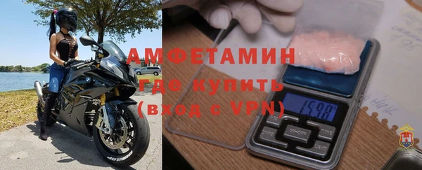 сатива Беломорск