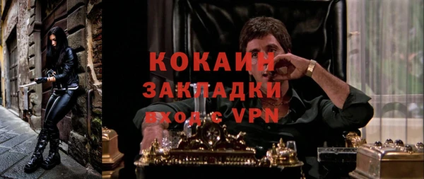 стаф Белокуриха