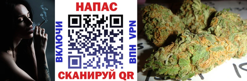 OMG сайт  Высоковск  Марихуана сатива  цена  